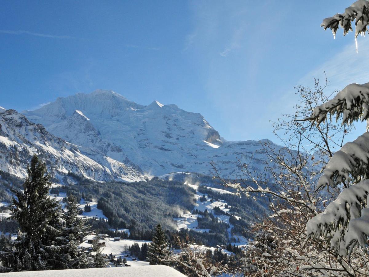 Apartment Tschingelhorn By Interhome Wengen Kültér fotó